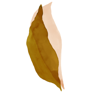 Individuelle Familienplanung